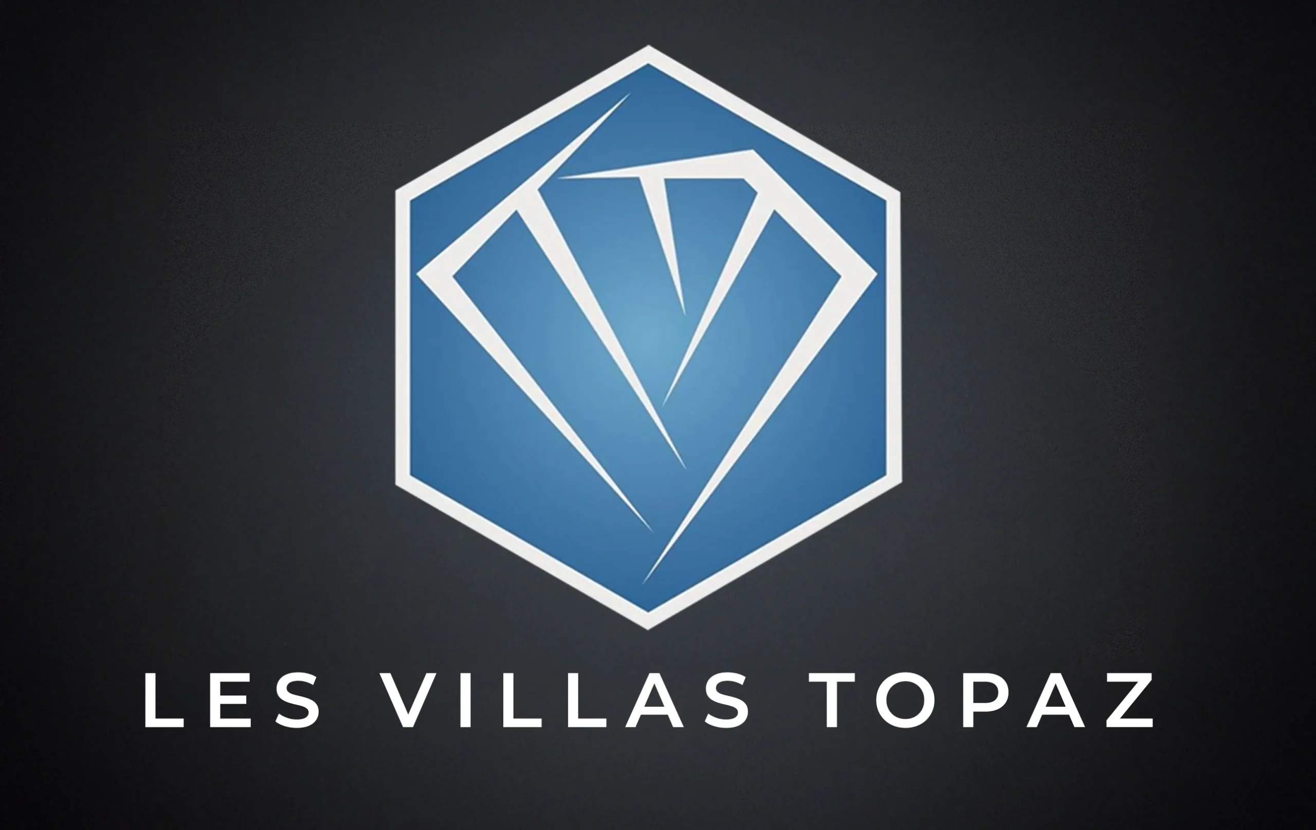 topaz logo scaled